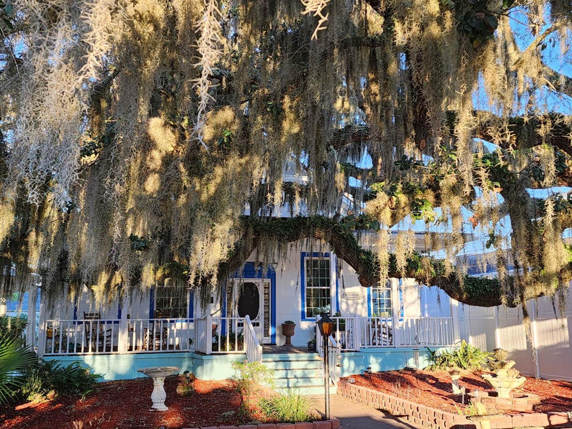 Tybee Island Inn Bed & Breakfast Dış mekan fotoğraf